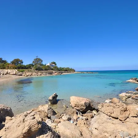 Calypso - Coralli Beachfront * Протарас