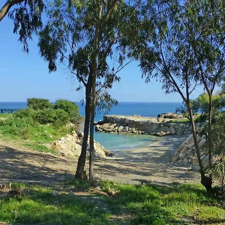 Calypso - Coralli Beachfront Protaras